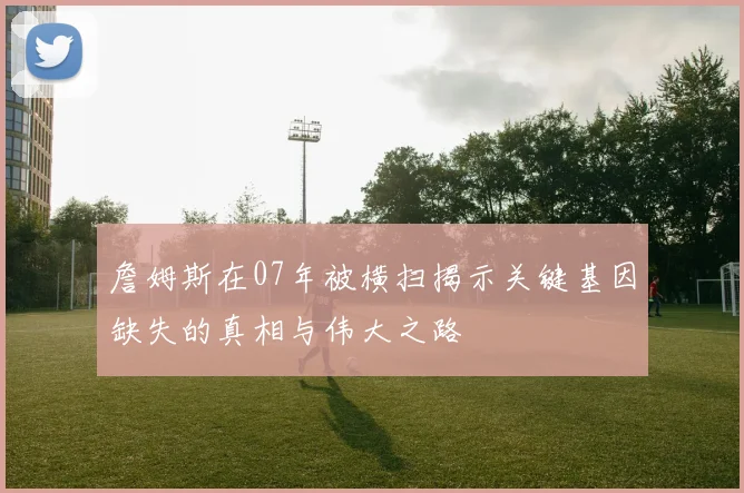 詹姆斯在07年被横扫揭示关键基因缺失的真相与伟大之路