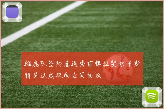 雄鹿队签约落选秀前锋拉斐尔卡斯特罗达成双向合同协议