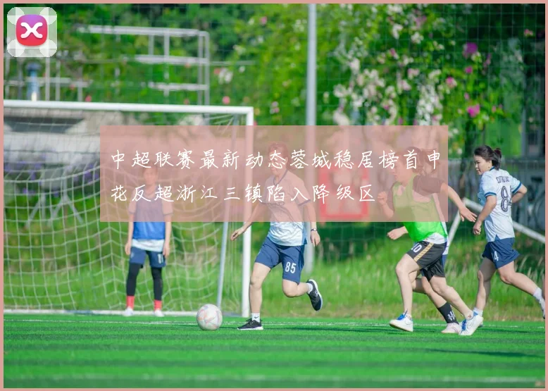 中超联赛最新动态蓉城稳居榜首申花反超浙江三镇陷入降级区
