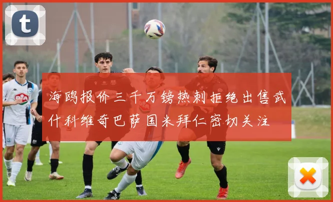 海鸥报价三千万镑热刺拒绝出售武什科维奇巴萨国米拜仁密切关注